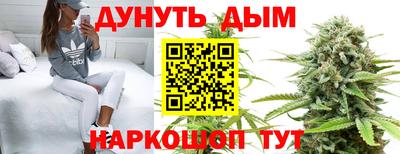 крисы Кандалакша